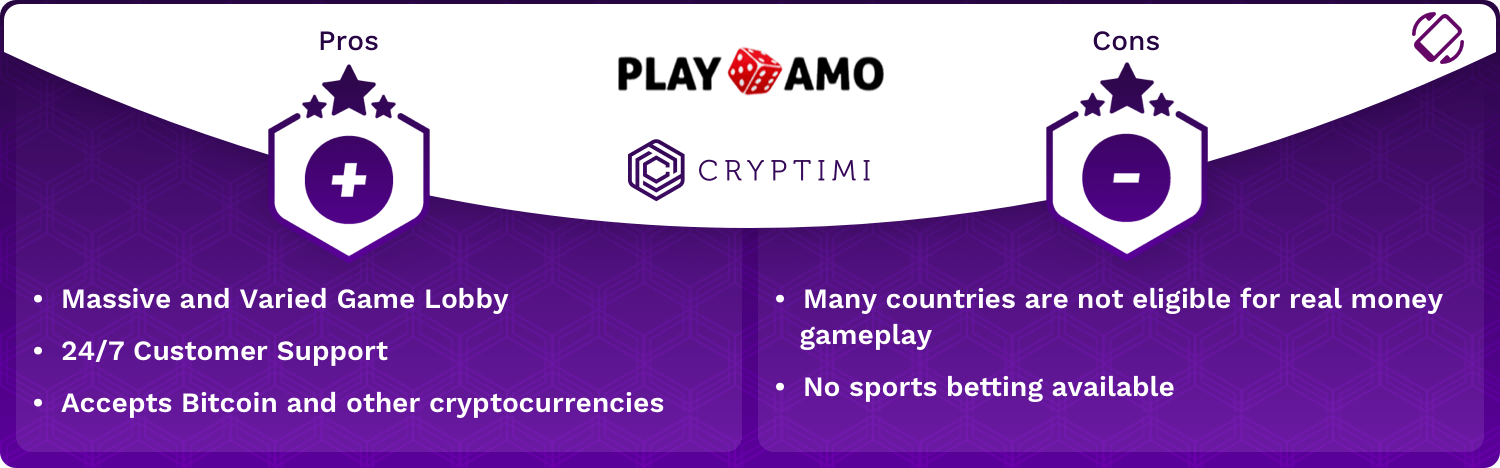 PlayAmo Pros and Cons Infographic