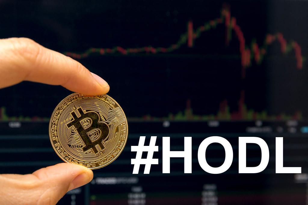 what does hodl mean and is it a good strategy? - cryptimi