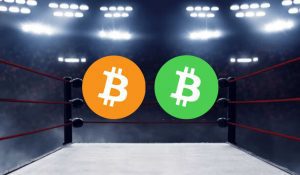 Bitcoin vs Bitcoin Cash