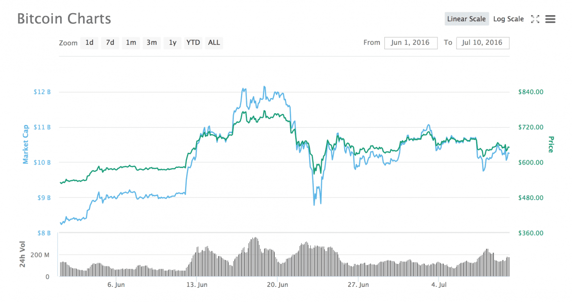 Yearlong Bitcoin Price Fluctuation Graph