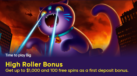 Bao Casino Offering High Roller Bonus